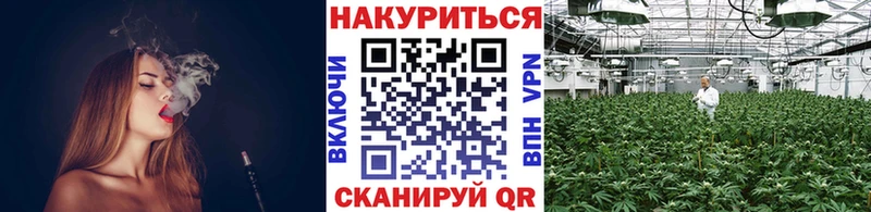 наркошоп  Чадан  Шишки марихуана индика 